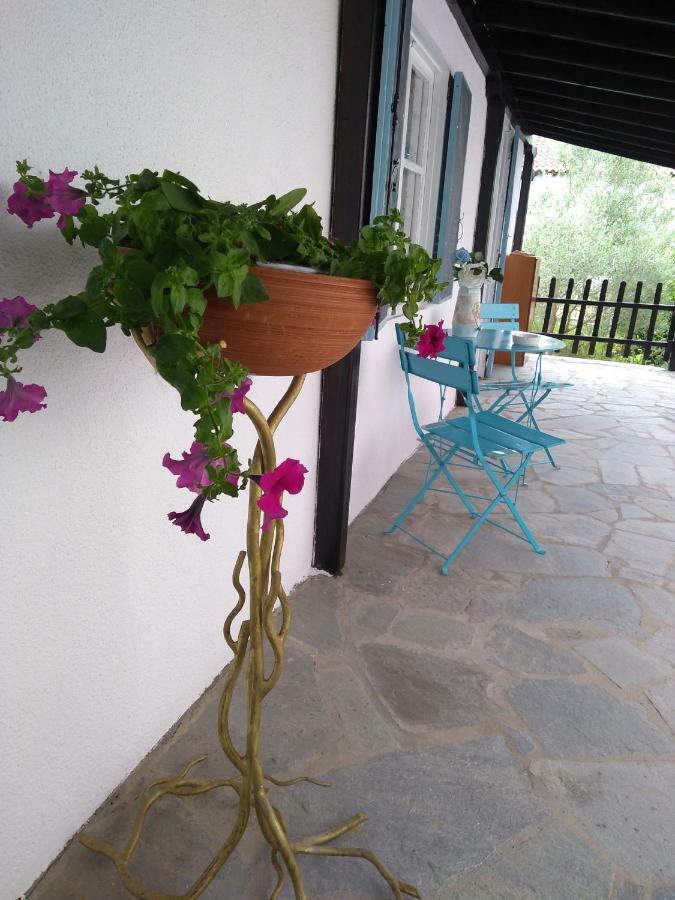 Sea & Sun House Villa Nea Kallikrateia Exterior foto